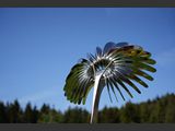 Nova H2O
Skulptur mit Brausefunktion.
Mae: H 240 cm