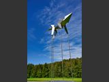Lupo
Edelstahl Glasperlen-gestrahlt
Mae: Hhe 230 cm Breite 170 cm