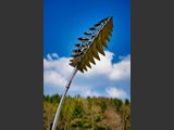 Lavande 3
Edelstahl poliert
Mae: Hhe 220 cm