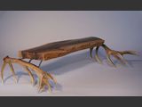 Hochsitz
Heimischer Nubaum, 21-Ender, Edelstahl.
Mae: B/T/H - 180 / 95 / 42 cm
