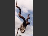 Kudu
Edelstahlskulptur, mit Kuduhörnern.
Maße: H/B - 120 / 95 cm