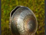 Shell
Edelstahl, Bronze poliert
B 27 / H 30 / T 16 cm